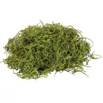 Product Decorative moss dried forest moss green natural decoration 300g
