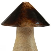 Product Decorative mushroom wooden mushroom natural brown gloss effect Ø7.5cm H10cm
