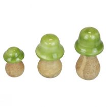 Product Decorative mushrooms wood wooden mushrooms light green glossy H6/8/10cm set of 3