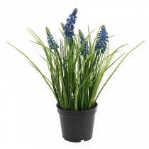Product Hyacinths artificial in a pot Blue 24cm