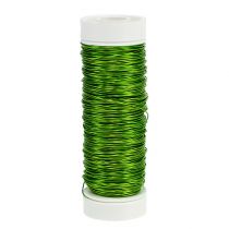 Deco enamel wire Ø0.30mm 30g 50m apple green