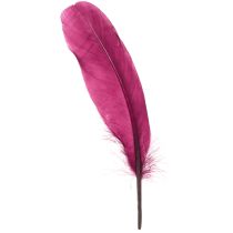 Product Decorative feathers burgundy goose feathers craft supplies 20g x 2pcs
