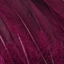 Product Decorative feathers burgundy goose feathers craft supplies 20g x 2pcs