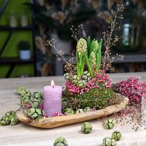 Decorative bowl Paulownia wood, table decoration, planter L34cm H5cm