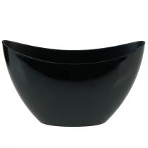 Product Decorative bowl black oval plant boat 24x9.5cmx14.5cm
