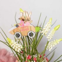 Decorative plug rabbit in the car wood Easter decoration carrot 9 × 7.5 cm 16 pieces