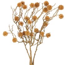 Product Decorative branch of sweetgum tree, tree fruits, decorative ochre brown, 48cm