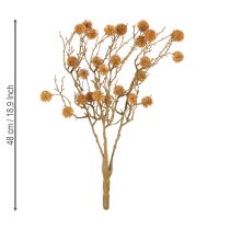 Product Decorative branch of sweetgum tree, tree fruits, decorative ochre brown, 48cm