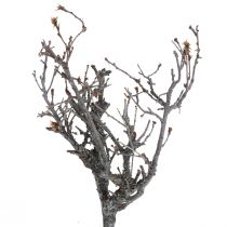 Product Deco branches bonsai wood deco branches 15-30cm 650g