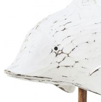 Product Dolphin decoration Albasia maritime wooden decoration white 28×6.5×26cm