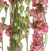 Product Dried (artificial) Delphinium pink larkspur, decorative flower vase 64cm 25g