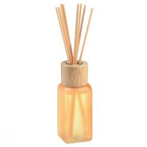 Room Fragrance Diffuser Glass Ginger Camila Fragrance Sticks 100ml
