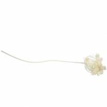 Product Dill white snowed 117cm