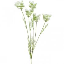 Dill flowering, artificial plant, artificial herbs green, white L80cm