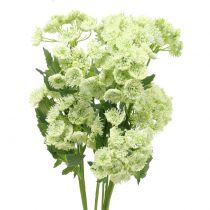 Product Dill artificial white 49cm 6 pcs