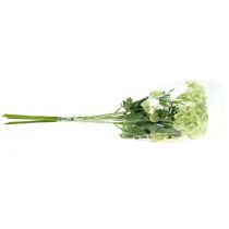 Product Dill artificial white 49cm 6 pcs
