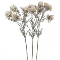 Thistle branch artificially iced deco branch winter 55cm 3pcs