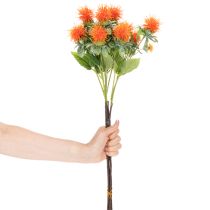 Product Artificial orange safflower as an artificial flower for vases and decoration, 55cm, 4 pieces