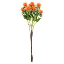 Product Artificial orange safflower as an artificial flower for vases and decoration, 55cm, 4 pieces