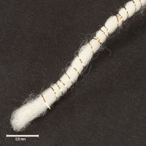 Product Wool cord white with gold thread 5m x 5mm with wire for decoration and crafting