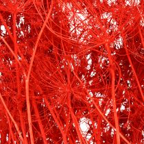 Product Umbellifer decorative bouquet for weddings and events