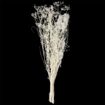 Product Umbelliferous Dried Flowers (Umbellifera) White 70-80cm 150g