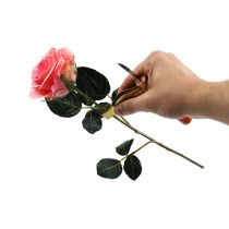 Rose thorn remover with knife