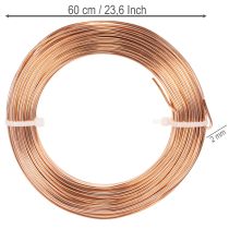 Product Aluminum wire roll for crafting and floristry, 60m, 500g
