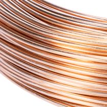 Product Aluminum wire roll for crafting and floristry, 60m, 500g