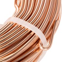 Product Aluminum wire roll for crafting and floristry, 60m, 500g
