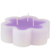 Three-wick candle as a flower candle purple white Ø11.5cm H4cm