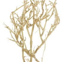 Dry Tree 500g bleached