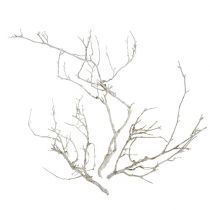 Dry Tree White washed 500g