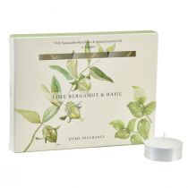 Product Scented Candles Lime Bergamot Basil Ø3.5cm 12 pcs