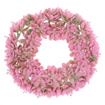 Echeveria wreath pink Ø18cm 4pcs