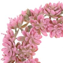 Echeveria wreath pink Ø18cm 4pcs