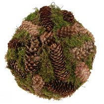 Product Real cones decorative ball with moss natural decoration Ø25cm H25cm