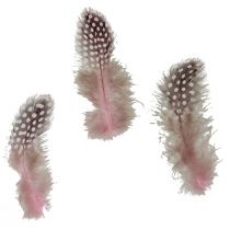 Real guinea fowl feathers pink with dots 4-12cm 100pcs