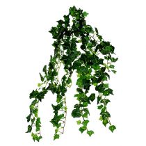 Ivy tendril green 70cm