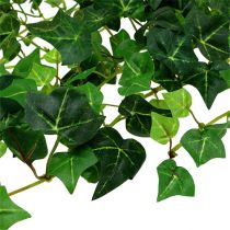 Ivy tendril green 70cm