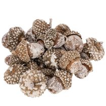 Product Acorns, natural product for decoration, whitewashed, 1-3cm, 300g