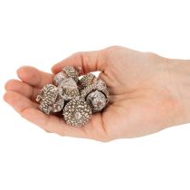 Product Acorns, natural product for decoration, whitewashed, 1-3cm, 300g
