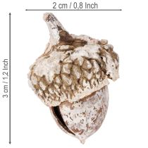 Product Acorns, natural product for decoration, whitewashed, 1-3cm, 300g