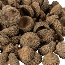 Product Natural acorn caps, decorative bowls for autumn and Advent, 2cm, 300g