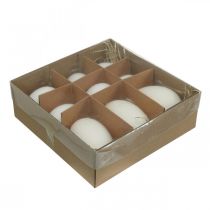 Product Swan eggs & chicken eggs mix blown out eggs white 5.5/8cm 9pcs