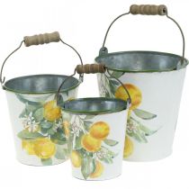 Decorative bucket with lemon motif, Mediterranean planter Ø13.5/11/9cm H14/11.5/cm set of 3