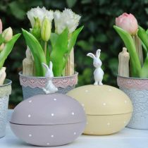 Bunny on egg, decorative egg to fill, Easter, decorative box yellow, purple H17/16cm L15cm set of 2
