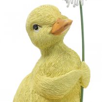 Spring decoration, ducklings with dandelion, decorative figure H13.5cm