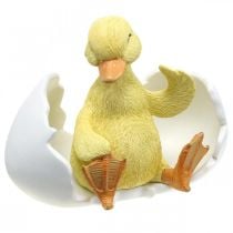 Hatched chick, duck figure, duckling in egg H10cm W12.5cm
