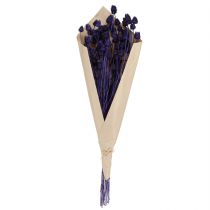 Product Strawberry Thistle Dried Thistle Decoration Violet 44-58cm 100g